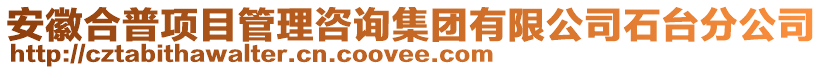 安徽合普項(xiàng)目管理咨詢集團(tuán)有限公司石臺(tái)分公司