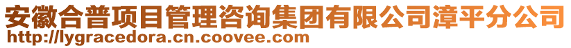 安徽合普項(xiàng)目管理咨詢集團(tuán)有限公司漳平分公司