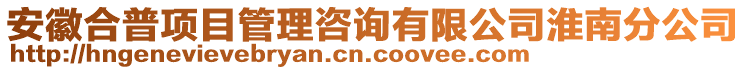 安徽合普項(xiàng)目管理咨詢有限公司淮南分公司