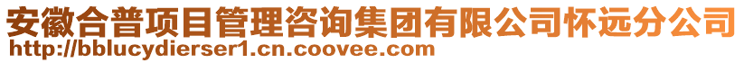 安徽合普項目管理咨詢集團有限公司懷遠(yuǎn)分公司