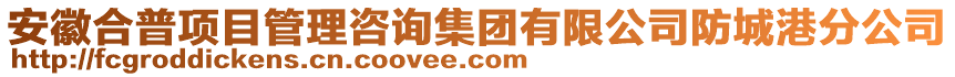 安徽合普項目管理咨詢集團有限公司防城港分公司