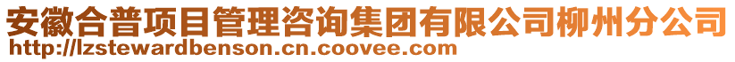 安徽合普項目管理咨詢集團有限公司柳州分公司