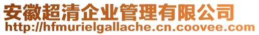 安徽超清企業(yè)管理有限公司