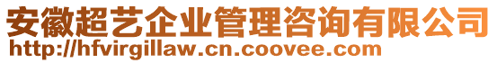 安徽超藝企業(yè)管理咨詢有限公司