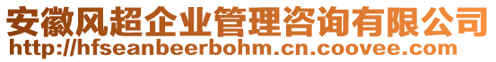 安徽風(fēng)超企業(yè)管理咨詢有限公司