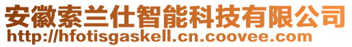 安徽索蘭仕智能科技有限公司