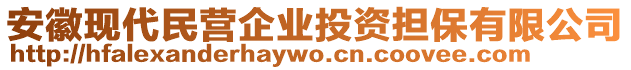 安徽現(xiàn)代民營(yíng)企業(yè)投資擔(dān)保有限公司