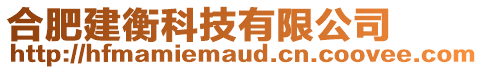 合肥建衡科技有限公司