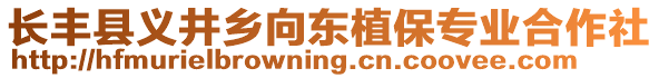 長(zhǎng)豐縣義井鄉(xiāng)向東植保專業(yè)合作社