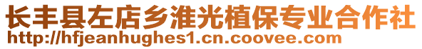 長(zhǎng)豐縣左店鄉(xiāng)淮光植保專業(yè)合作社