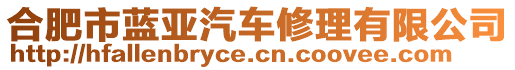 合肥市藍(lán)亞汽車修理有限公司