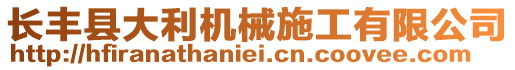 長豐縣大利機(jī)械施工有限公司