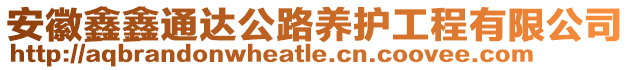 安徽鑫鑫通達(dá)公路養(yǎng)護(hù)工程有限公司