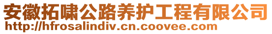 安徽拓嘯公路養(yǎng)護(hù)工程有限公司