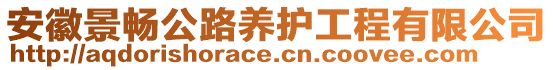 安徽景暢公路養(yǎng)護工程有限公司