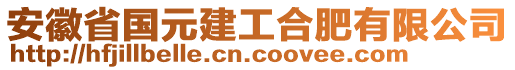 安徽省國元建工合肥有限公司