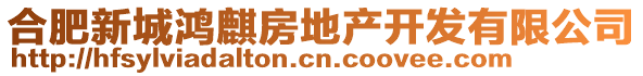 合肥新城鴻麒房地產(chǎn)開發(fā)有限公司