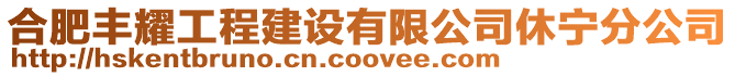 合肥豐耀工程建設有限公司休寧分公司