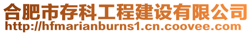 合肥市存科工程建設(shè)有限公司