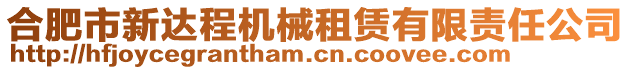 合肥市新達(dá)程機(jī)械租賃有限責(zé)任公司