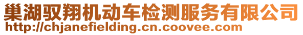 巢湖馭翔機(jī)動(dòng)車檢測(cè)服務(wù)有限公司