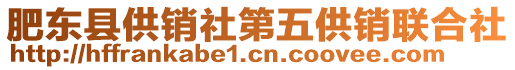 肥東縣供銷社第五供銷聯(lián)合社