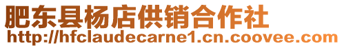 肥東縣楊店供銷合作社