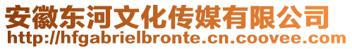 安徽東河文化傳媒有限公司