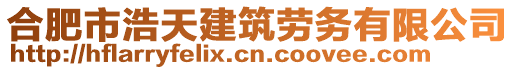 合肥市浩天建筑勞務有限公司