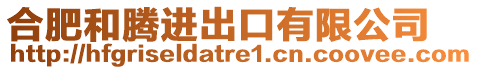 合肥和騰進出口有限公司