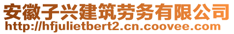 安徽子興建筑勞務(wù)有限公司