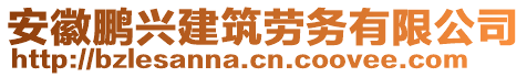 安徽鵬興建筑勞務(wù)有限公司