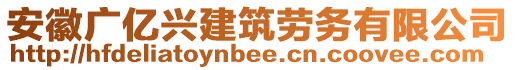 安徽廣億興建筑勞務有限公司