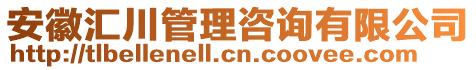 安徽匯川管理咨詢有限公司