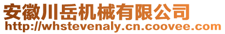 安徽川岳機(jī)械有限公司