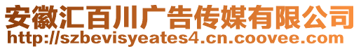 安徽匯百川廣告?zhèn)髅接邢薰? style=