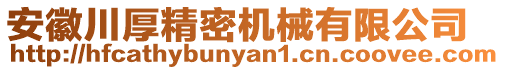 安徽川厚精密機(jī)械有限公司