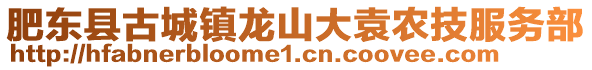 肥東縣古城鎮(zhèn)龍山大袁農(nóng)技服務部