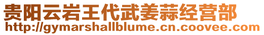 貴陽云巖王代武姜蒜經營部