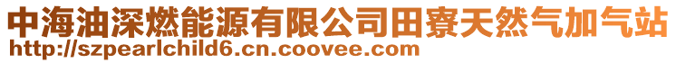 中海油深燃能源有限公司田寮天然氣加氣站