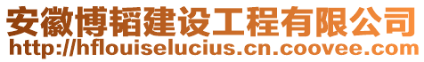 安徽博韜建設(shè)工程有限公司