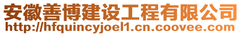 安徽善博建設(shè)工程有限公司