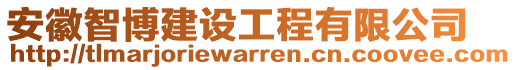 安徽智博建設工程有限公司