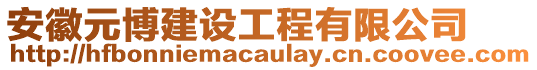 安徽元博建設(shè)工程有限公司