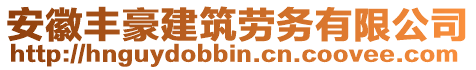 安徽豐豪建筑勞務(wù)有限公司