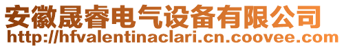 安徽晟睿電氣設(shè)備有限公司