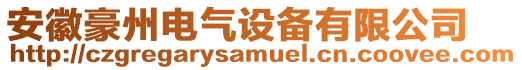 安徽豪州電氣設備有限公司