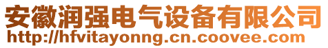 安徽潤(rùn)強(qiáng)電氣設(shè)備有限公司