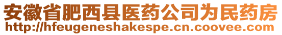 安徽省肥西縣醫(yī)藥公司為民藥房