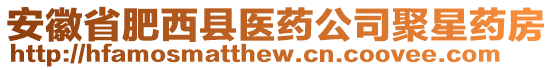 安徽省肥西縣醫(yī)藥公司聚星藥房